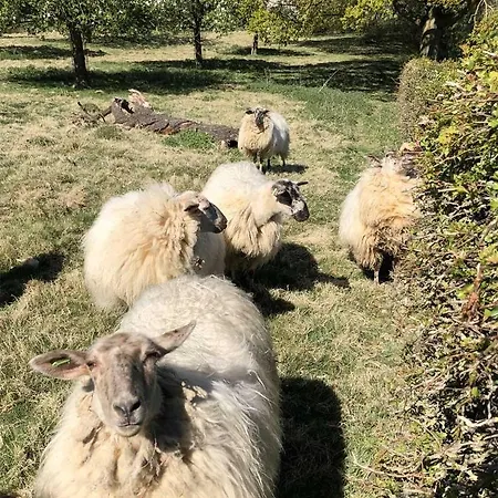 Leukderhuisje Vakantiehuis Geulle