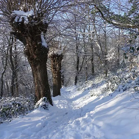Leukderhuisje Meerssen *