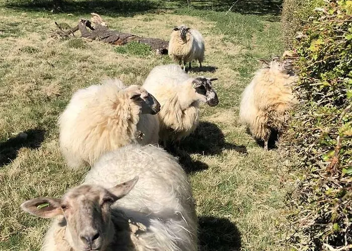 Leukderhuisje Meerssen بيت للعطل Geulle