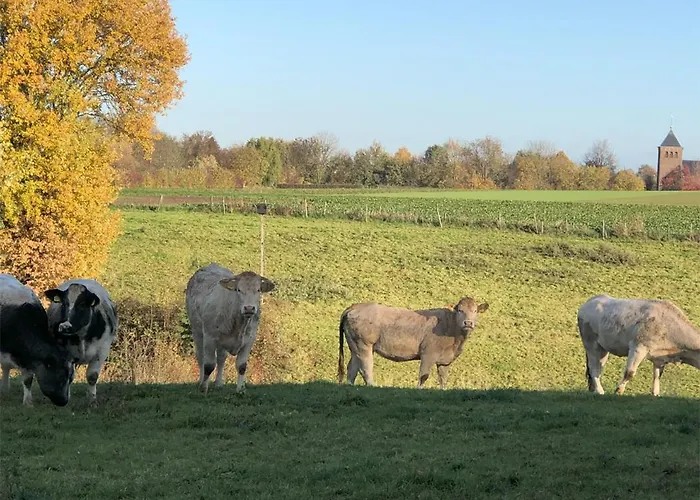 Leukderhuisje Meerssen