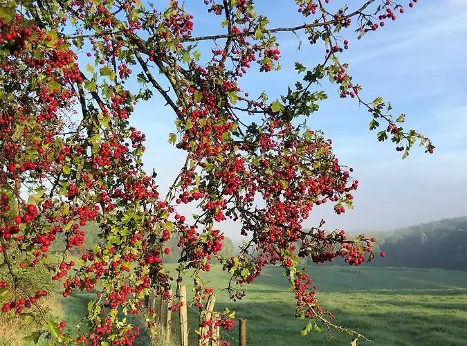 Tatil Evi Leukderhuisje Meerssen Geulle