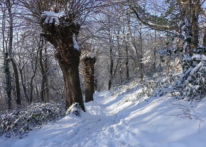 Leukderhuisje Meerssen *