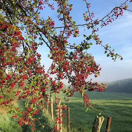 בית נופש Leukderhuisje Meerssen Geulle